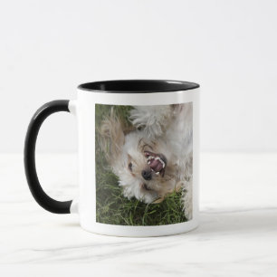 USA, Florida, Ponte Vedra Beach Mug