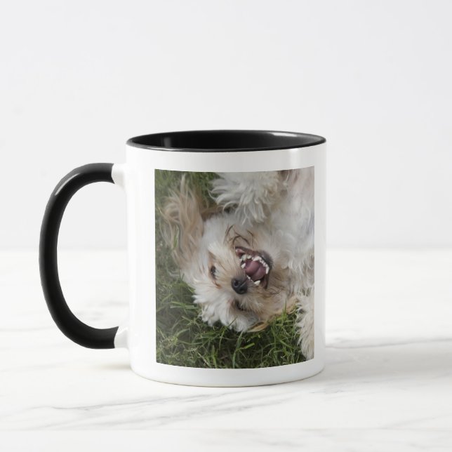 USA, Florida, Ponte Vedra Beach Mug (Left)