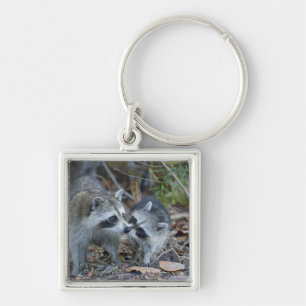 USA, Florida, Sanibel, Ding Darling National Key Ring
