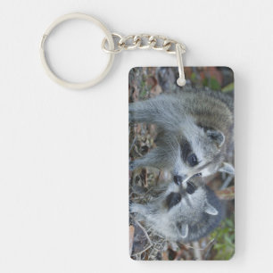 USA, Florida, Sanibel, Ding Darling National Key Ring