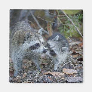 USA, Florida, Sanibel, Ding Darling National Magnet