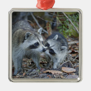 USA, Florida, Sanibel, Ding Darling National Metal Ornament