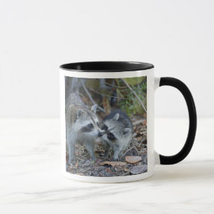 USA, Florida, Sanibel, Ding Darling National Mug