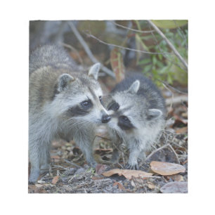 USA, Florida, Sanibel, Ding Darling National Notepad