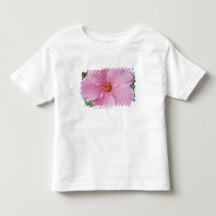 USA, Florida, Sanibel, Hibiscus Rose of Toddler T-Shirt
