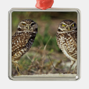 USA, Florida, Sanibel Island. Close-up of Metal Ornament