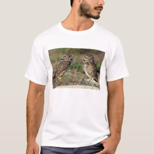 USA, Florida, Sanibel Island. Close-up of T-Shirt