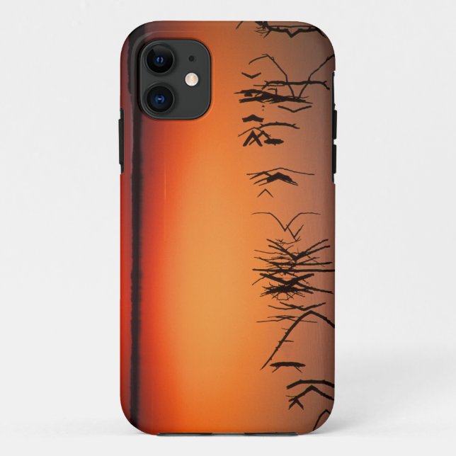 USA, Florida. Silhouettes of dead tree branches Case-Mate iPhone Case (Back)