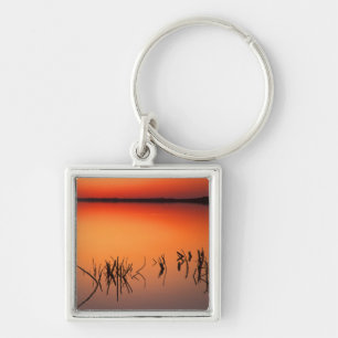 USA, Florida. Silhouettes of dead tree branches Key Ring