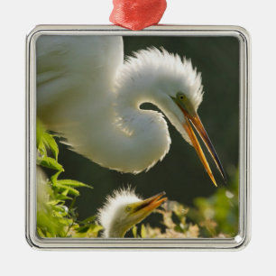 USA, Florida, St. Augustine, Alligator farm Metal Tree Decoration