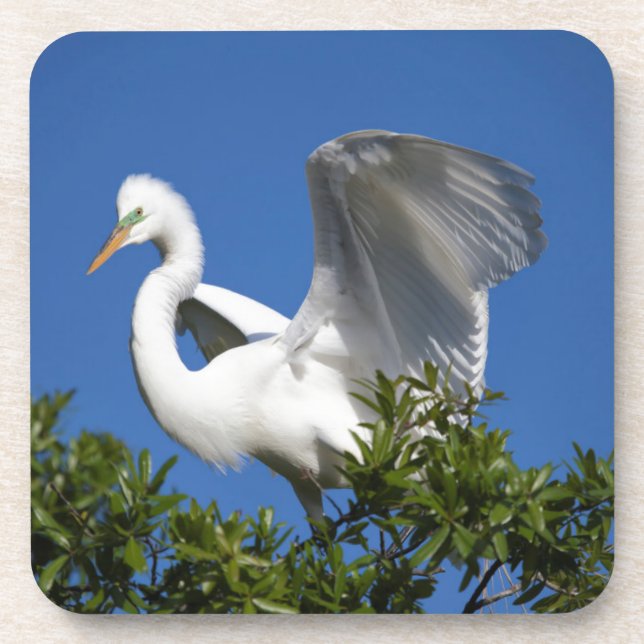 USA, Florida, St. Augustine, Egret Coaster (Front)
