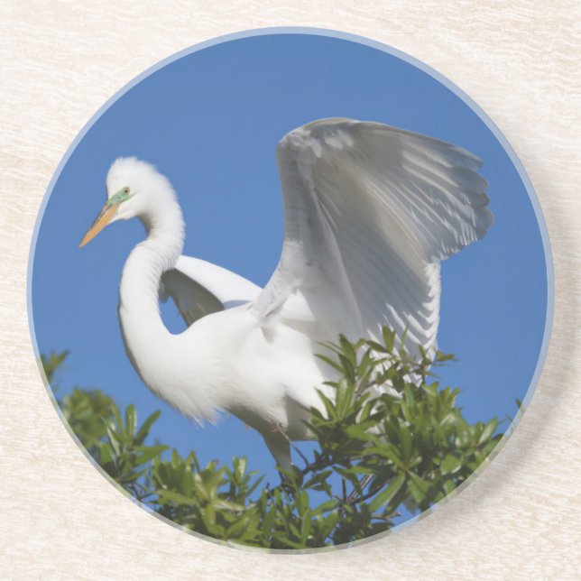 USA, Florida, St. Augustine, Egret Coaster (Front)