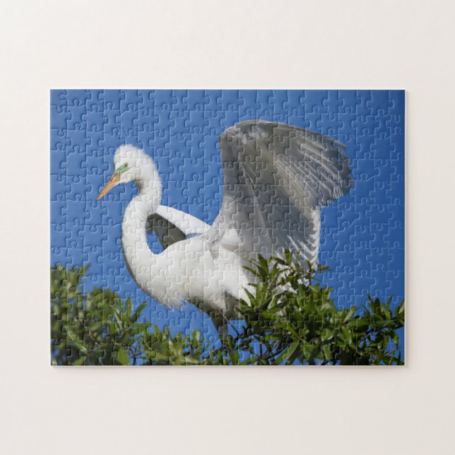 USA, Florida, St. Augustine, Egret Jigsaw Puzzle (Horizontal)