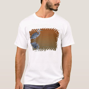USA, Florida, St. Petersburg, Fort De Soto 2 T-Shirt