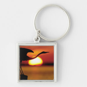 USA, Florida, St. Petersburg, Fort De Soto Key Ring