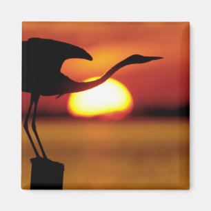 USA, Florida, St. Petersburg, Fort De Soto Magnet