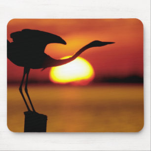USA, Florida, St. Petersburg, Fort De Soto Mouse Pad