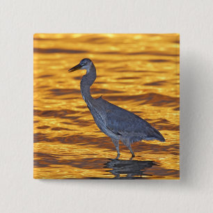 USA, Florida, St. Petersburg, Fort De Soto Park. 15 Cm Square Badge