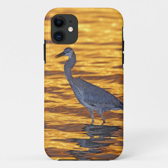 USA, Florida, St. Petersburg, Fort De Soto Park. Case-Mate iPhone Case (Back)