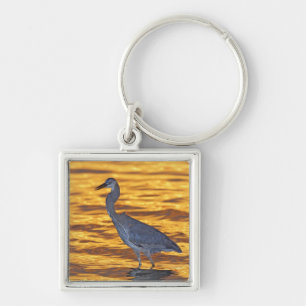 USA, Florida, St. Petersburg, Fort De Soto Park. Key Ring