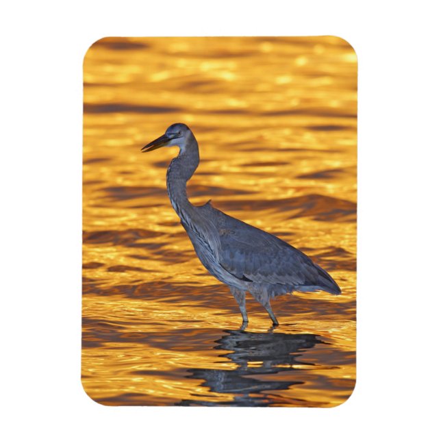 USA, Florida, St. Petersburg, Fort De Soto Park. Magnet (Vertical)