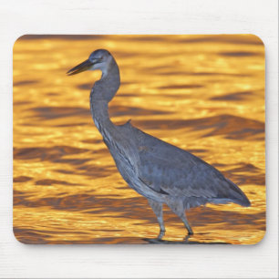 USA, Florida, St. Petersburg, Fort De Soto Park. Mouse Pad