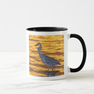 USA, Florida, St. Petersburg, Fort De Soto Park. Mug