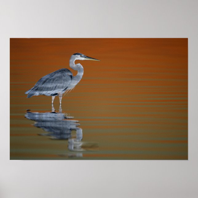 USA, Florida, St. Petersburg, Fort De Soto Poster (Front)