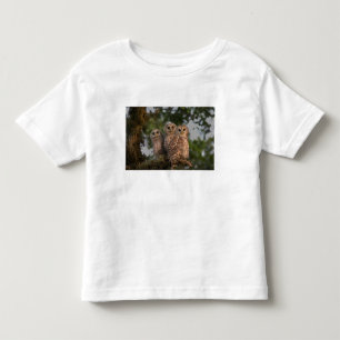 USA, Florida, Viera Wetlands. Three barred Toddler T-Shirt