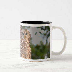 USA, Florida, Viera Wetlands. Three barred Two-Tone Coffee Mug