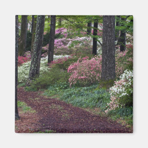 USA, Georgia, Callaway Gardens. Pathway Magnet