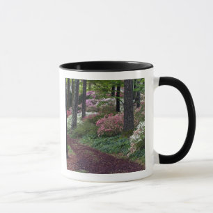 USA, Georgia, Callaway Gardens. Pathway Mug