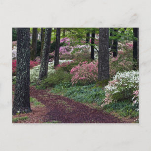 USA, Georgia, Callaway Gardens. Pathway Postcard