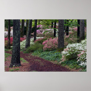 USA, Georgia, Callaway Gardens. Pathway Poster