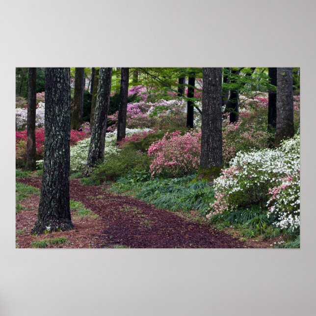 USA, Georgia, Callaway Gardens. Pathway Poster (Front)