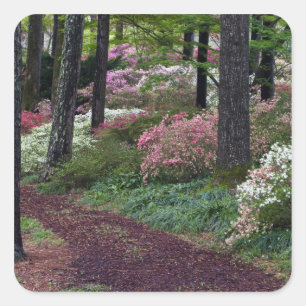 USA, Georgia, Callaway Gardens. Pathway Square Sticker