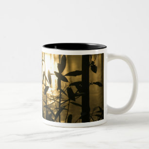 USA, Georgia, Callaway Gardens, Sunrise Two-Tone Coffee Mug