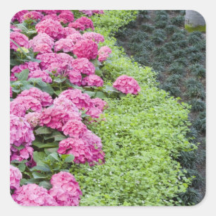 USA, Georgia, Pine Mountain. A boder of spring Square Sticker