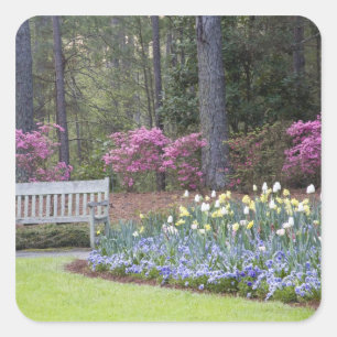 USA, Georgia, Pine Mountain. A border of Square Sticker