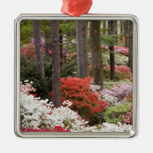 USA, Georgia, Pine Mountain. A forest of Metal Ornament