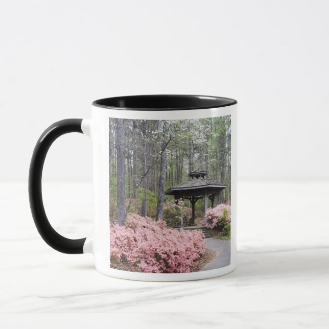 USA, Georgia, Pine Mountain. A gazebo amongst Mug (Left)