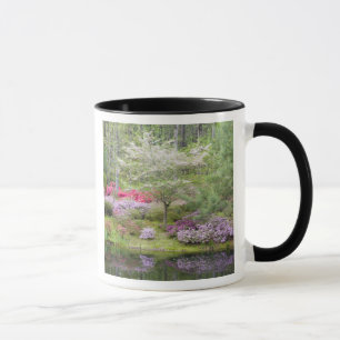 USA, Georgia, Pine Mountain. A mixture of Mug