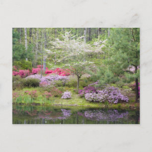 USA, Georgia, Pine Mountain. A mixture of Postcard