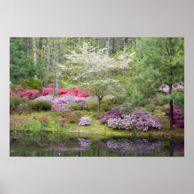 USA, Georgia, Pine Mountain. A mixture of Poster (Front)