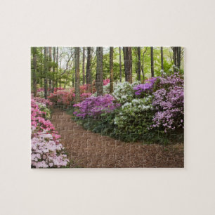 USA, Georgia, Pine Mountain. A pathway through Jigsaw Puzzle