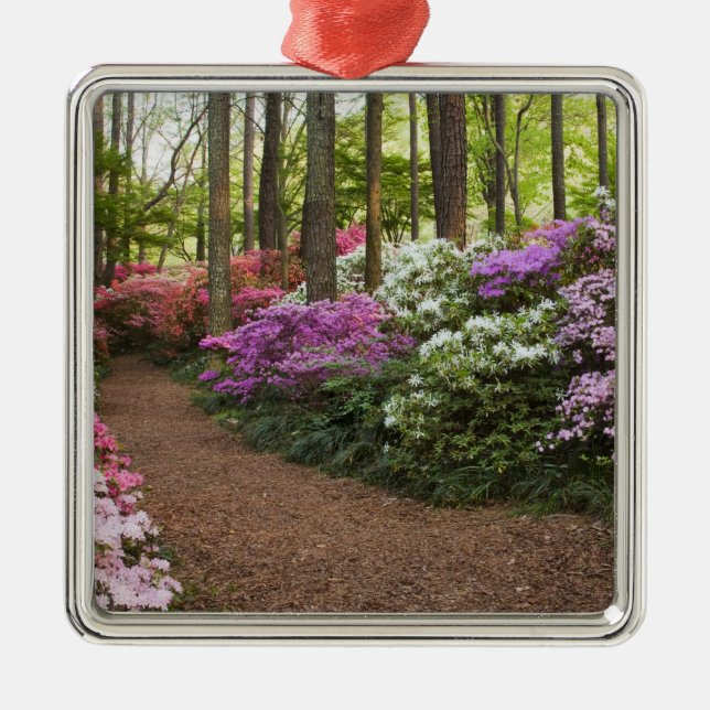 USA, Georgia, Pine Mountain. A pathway through Metal Tree Decoration (Front)