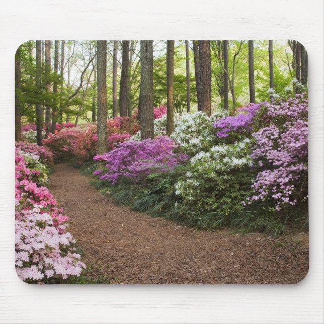 USA, Georgia, Pine Mountain. A pathway through Mouse Pad (Front)
