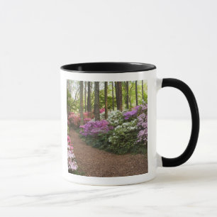 USA, Georgia, Pine Mountain. A pathway through Mug