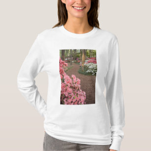USA, Georgia, Pine Mountain. A pathway through T-Shirt