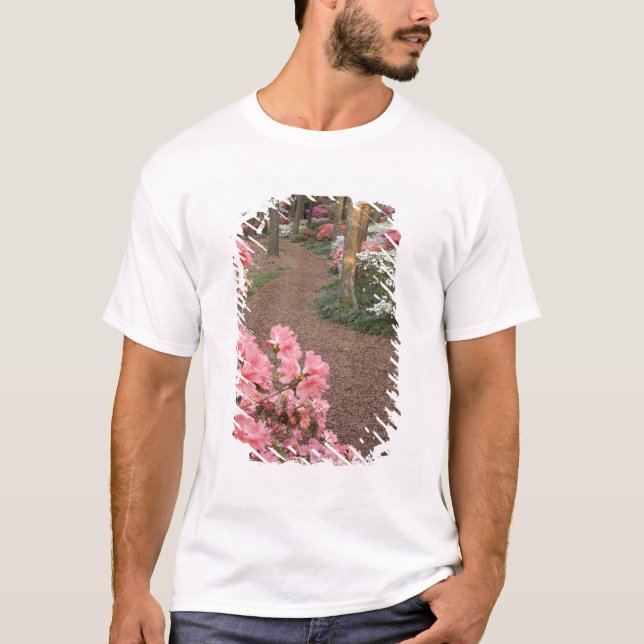 USA, Georgia, Pine Mountain. A pathway through T-Shirt (Front)